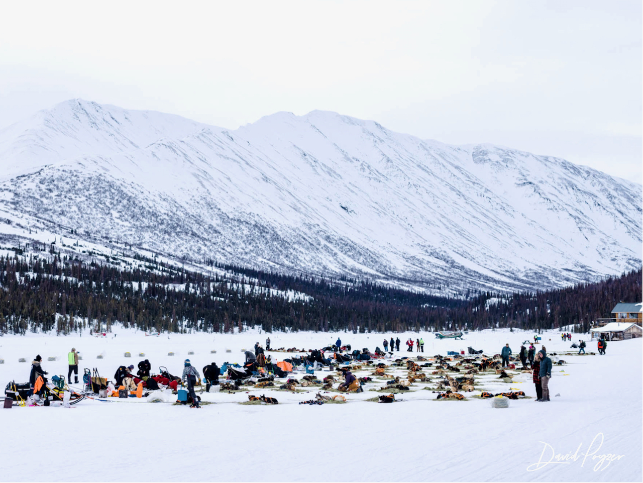 The Iditarod Race: Day 3 Updates and Insights into Gear Challenges