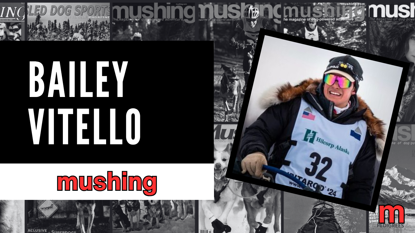Who Is Iditarod Musher Bailey Vitello?