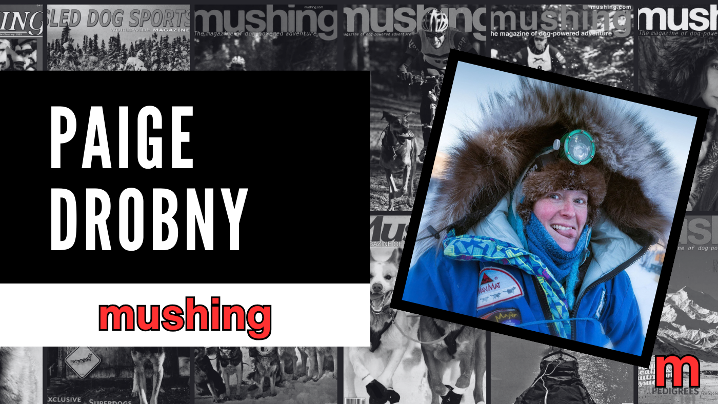 Who Is Iditarod Musher Paige Drobny?