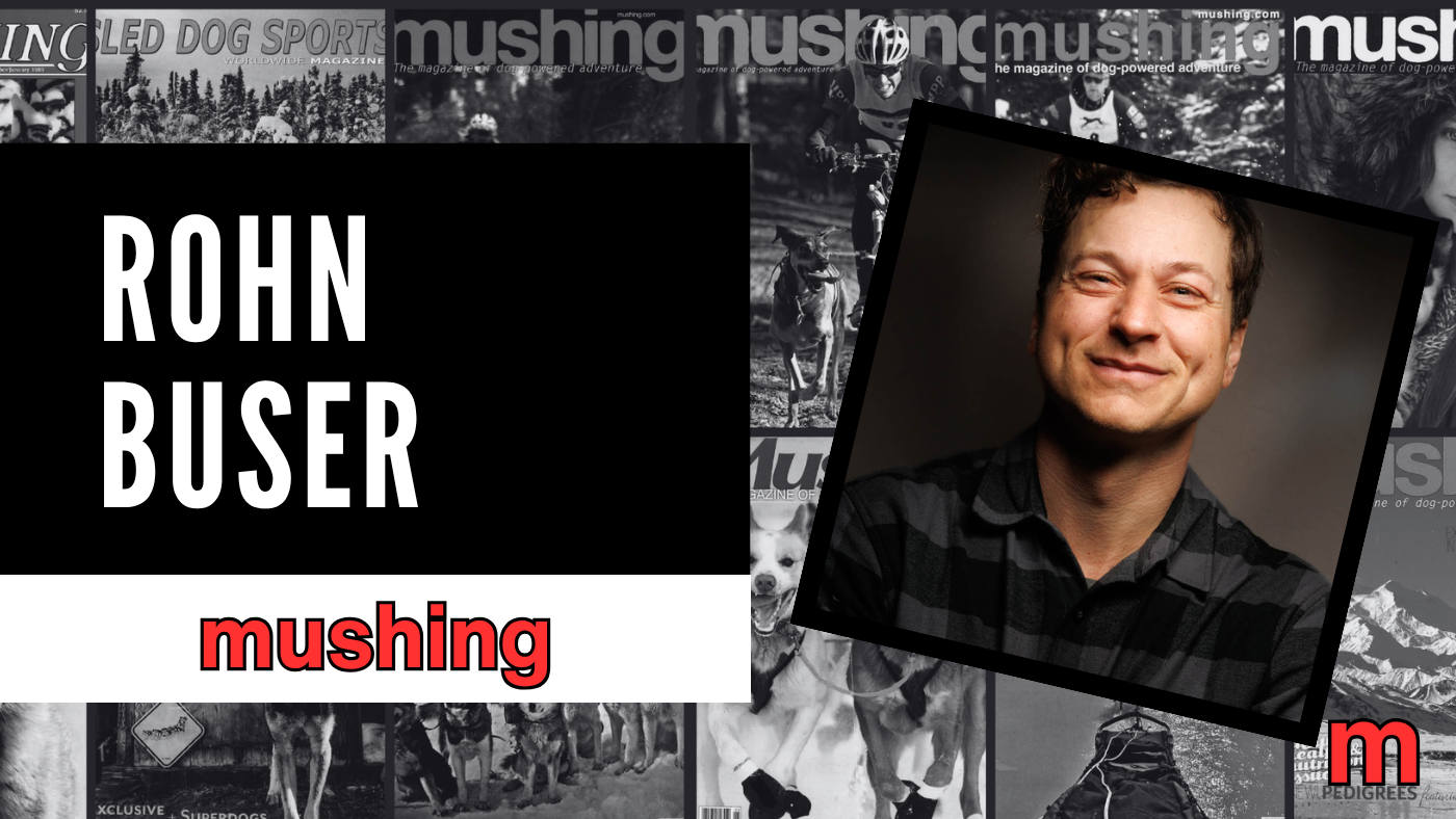 Who Is Iditarod Musher Rohn Buser?