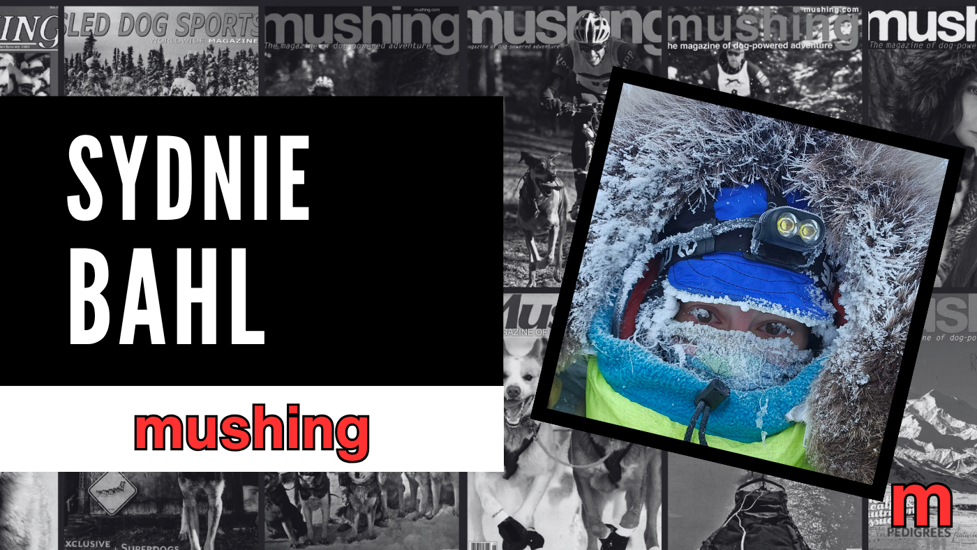 Who Is Iditarod Musher Sydnie Bahl?