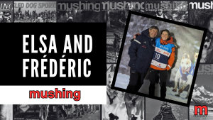From France To Sweden: Elsa And Frédéric Borgey On Building A Championship Sled Dog Kennel