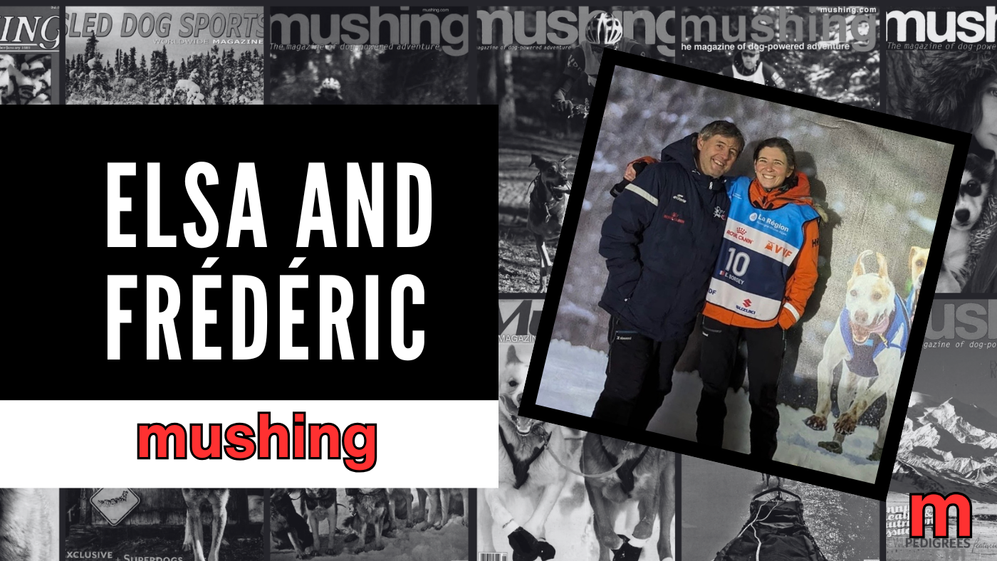 From France To Sweden: Elsa And Frédéric Borgey On Building A Championship Sled Dog Kennel