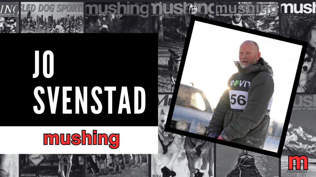 Jo Svenstad On Building A Championship Team, Bloodlines, And The Future Of European Sprint Mushing