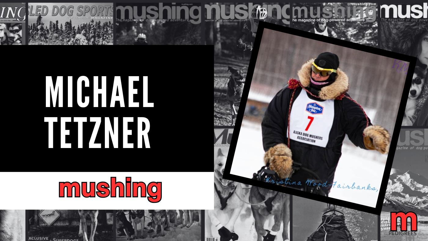 Michael Tetzner: Championship Racing And Worldwide Logistics