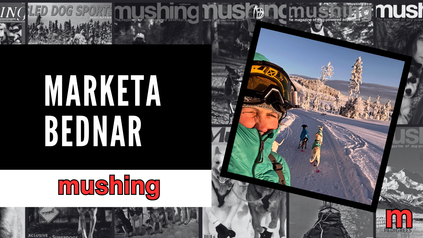 Marketa Bednar: Racing In Europe